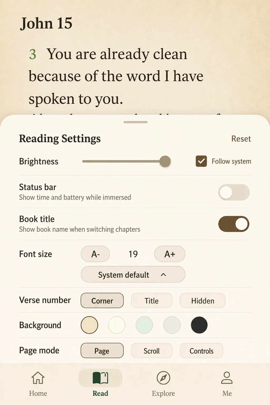Reader Settings screen in the Lumanna Bible app